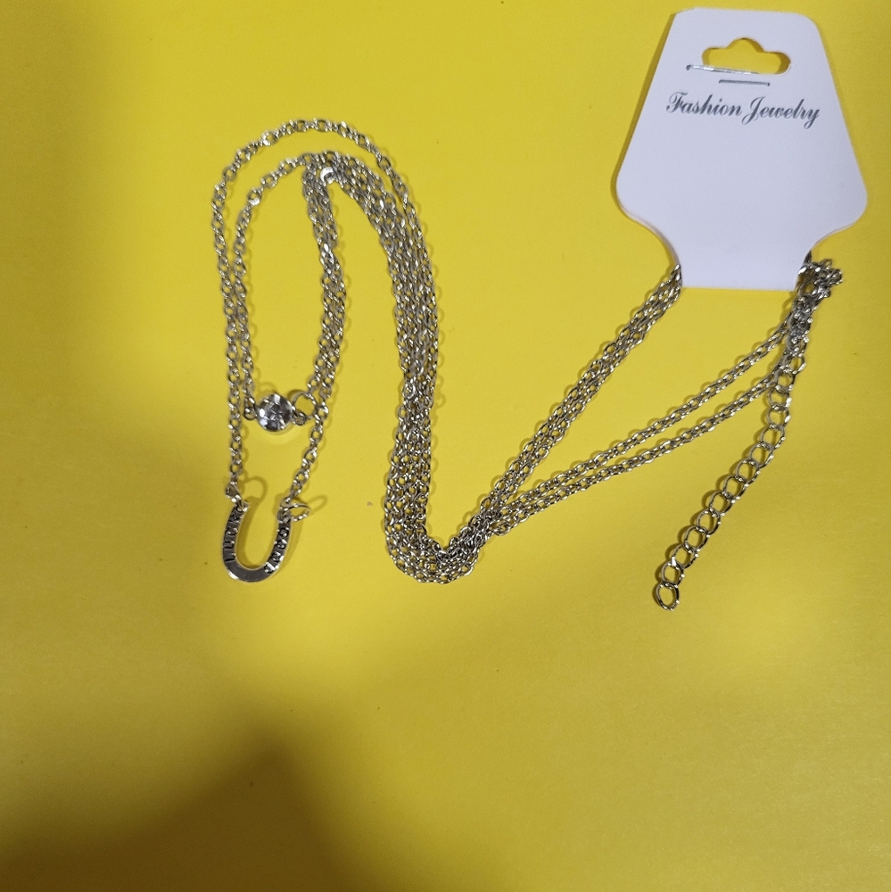 Silver Horseshoe Necklace